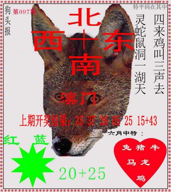 097期狗头报[图]